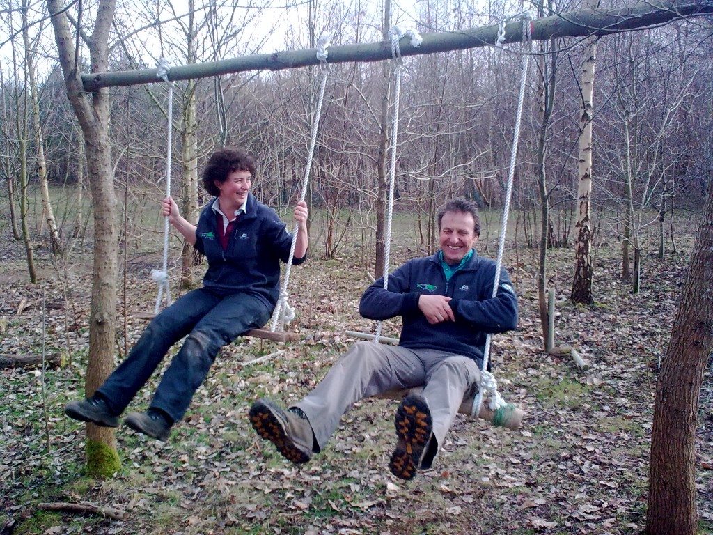 Download this Swing picture